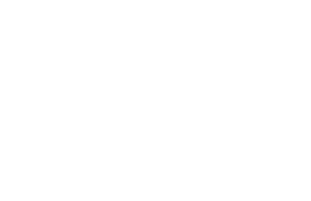 Schmunzelgeist